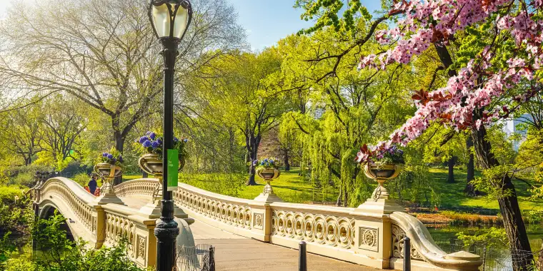 Central Park Bow Bridge in the spring
