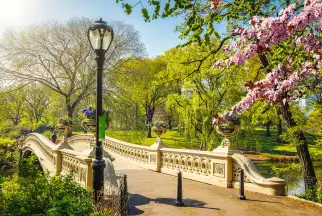 Central Park in the spring