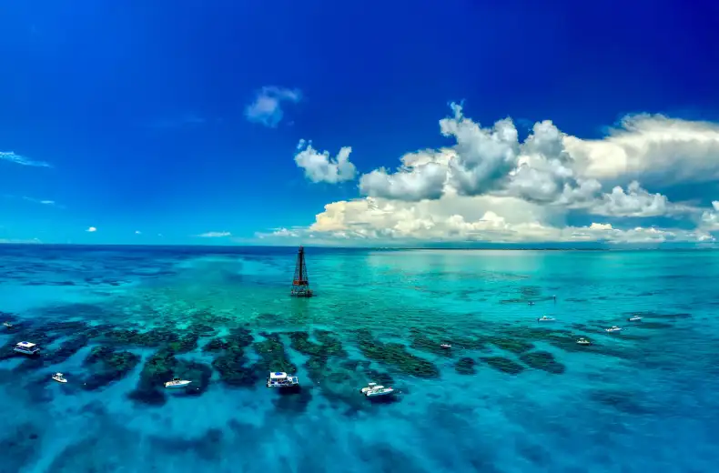istock-1977621806-min-1.jpg