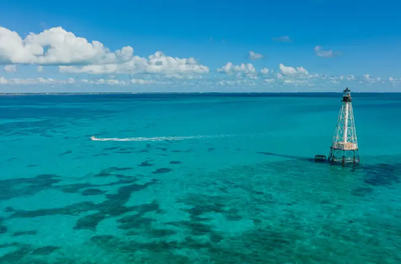 islamorada--offshore-fishing-4.jpg