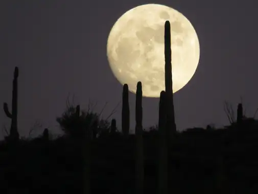 sx-moonlighthike.jpg