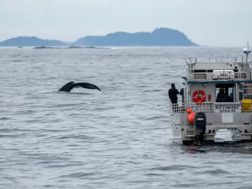 ak_sitka-whale-01_23.jpg