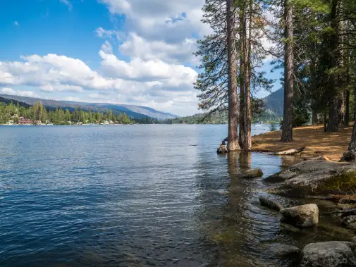 bass-lake-picnic-area.jpg