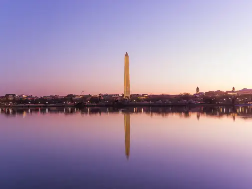 cherry-blossoms_washington-monument_credit-washington.org.jpg