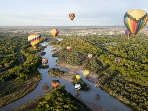 istock-1181927942.jpg