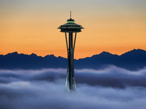 jpeg-optimizer_space-needle.jpg