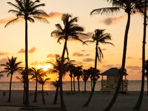key-biscayne_beach_crandon-park-20180509-008-compressed.jpg