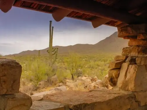 saguaro-np-1.jpg
