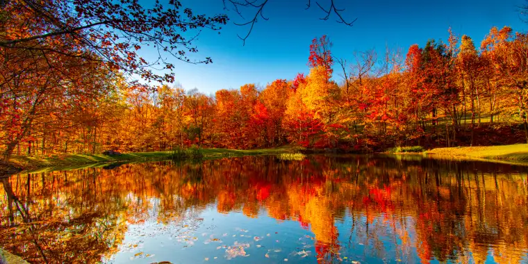 autumn colours reflect in a pond