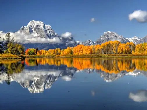 istock-935135870.jpg