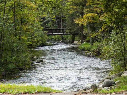 saratoga-spa-state-park-geyser-springs-area--saratoga-springs-saratoga-county.jpg