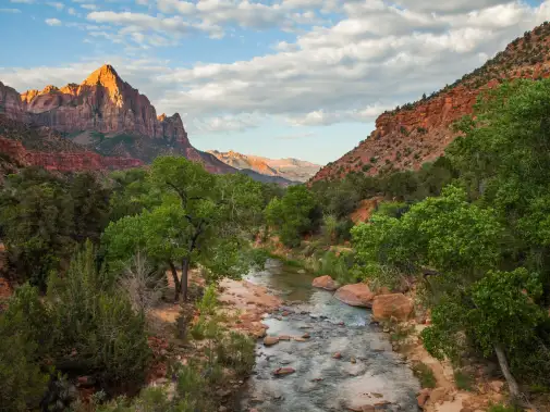 the-watchman-and-the-virgin-river---zion-national-park---matt-morgan.jpg